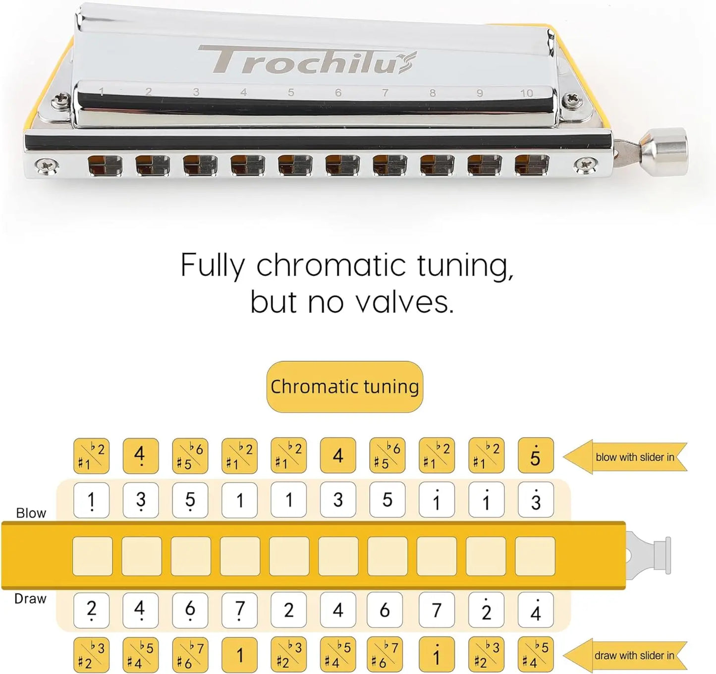 Portable Chromatic Harmonica 10-Hole for Beginners