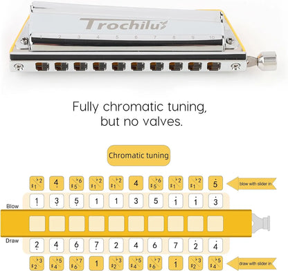 Portable Chromatic Harmonica 10-Hole for Beginners