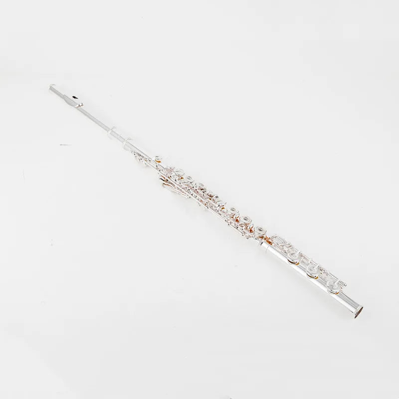 Professional Silver-Plated Flute C Key 17-Hole with Case