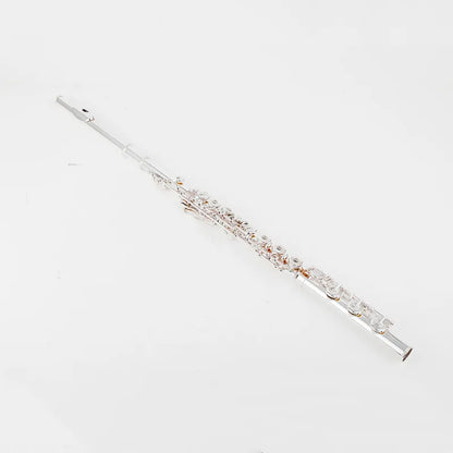 Professional Silver-Plated Flute C Key 17-Hole with Case