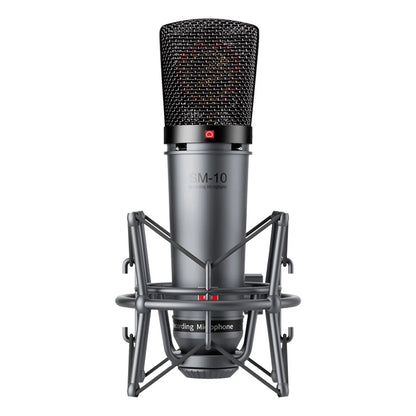 Professional Condenser XLR Microphone for Home Recording