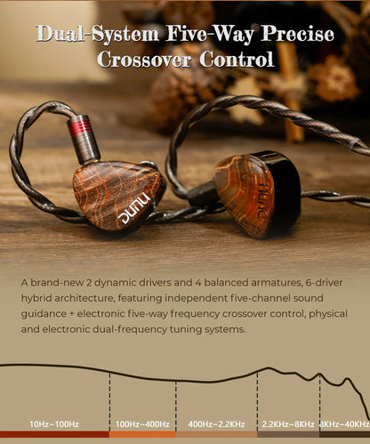 High Fidelity Hybrid In Ear Monitors with Dual Connectors