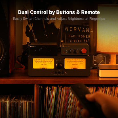 2-In-2 Out Amplifier Speaker Switcher with VU Meter
