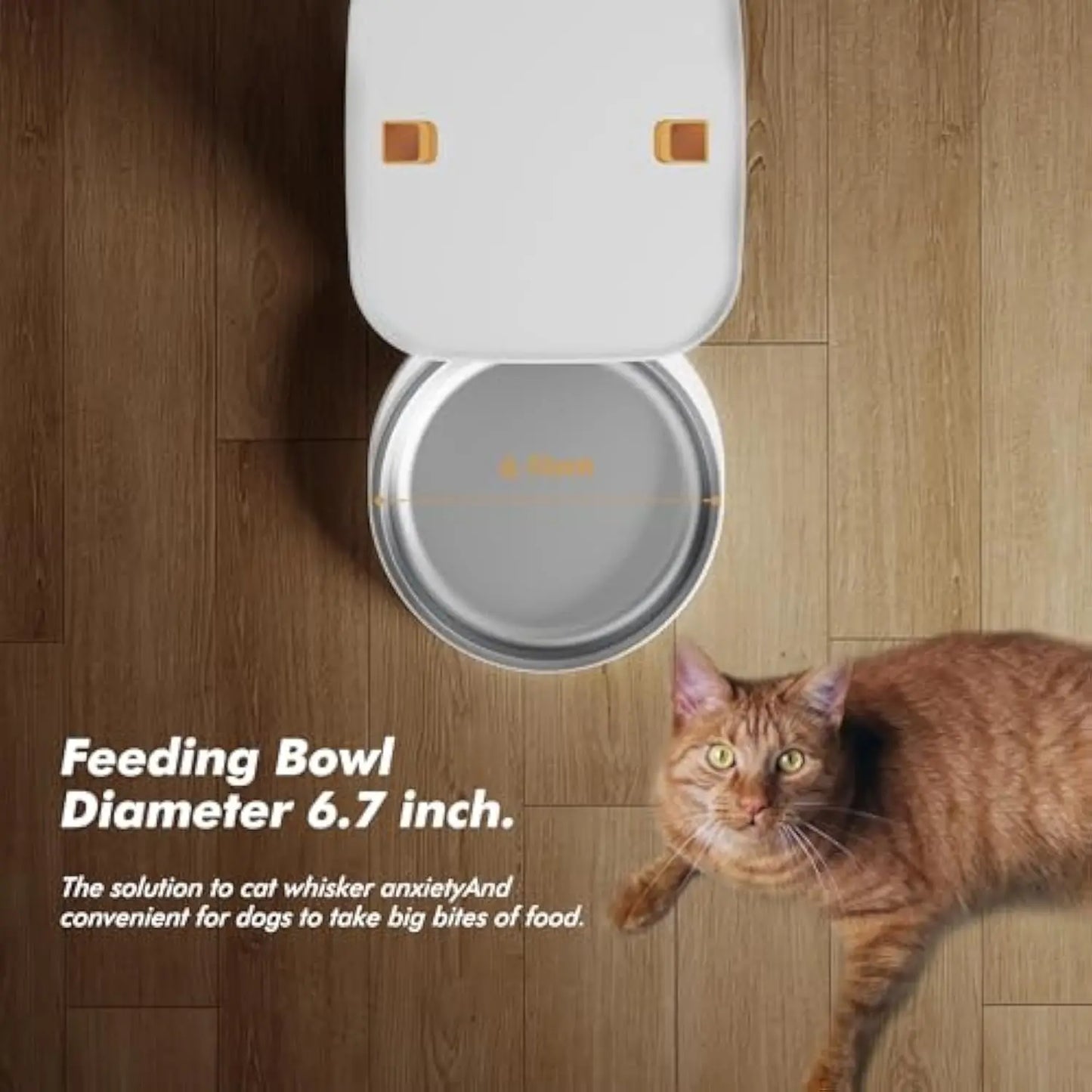 Smart 5G Cat Feeder with 1080p Camera and App Control