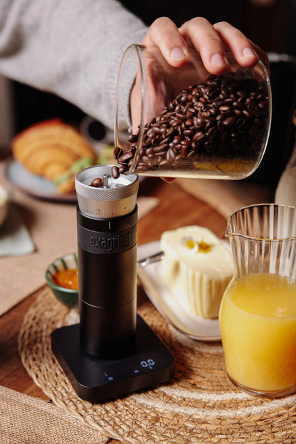 Manual Coffee Grinder with 38mm Stainless Steel Conical Burrs