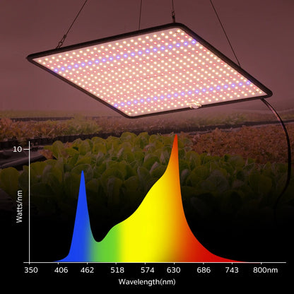 40W Full Spectrum Grow Lights for Indoor Tent Plants 3pcs