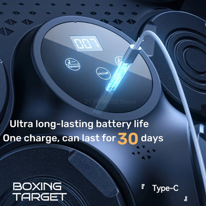 Wall Mounted Music Boxing Trainer Bluetooth Punch Target Black
