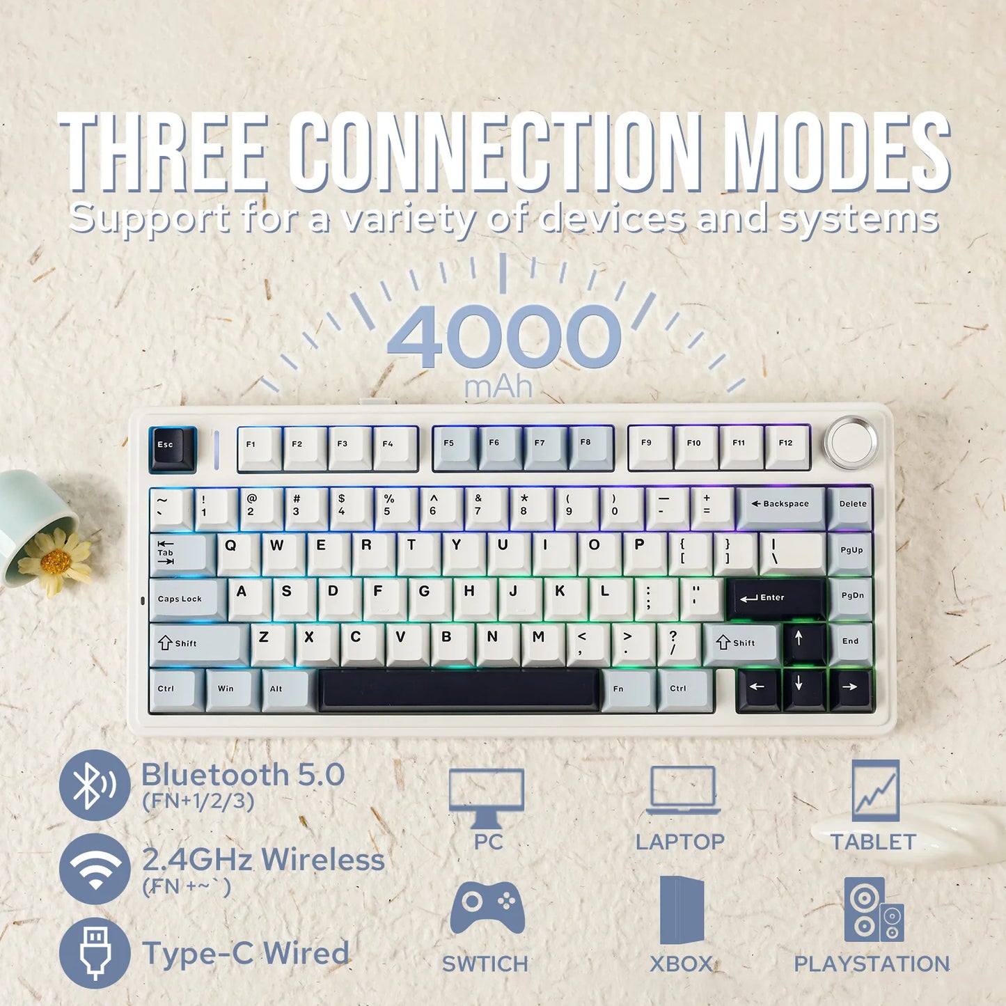 Side Printed Keys Wireless Mechanical Keyboard RGB Hot Swap