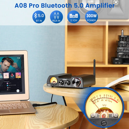 HiFi Digital Audio Amp 300W with VU Meter and 48V Plug