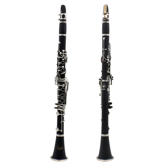 Professional 17 Key Bb Clarinet with Case and Reed