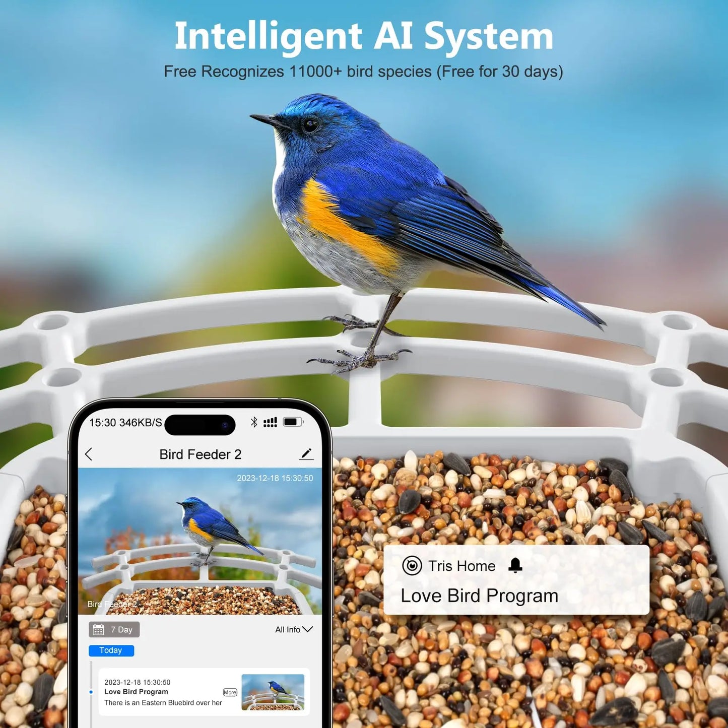 4G Smart Bird Feeder with 2.4K Camera Solar Powered