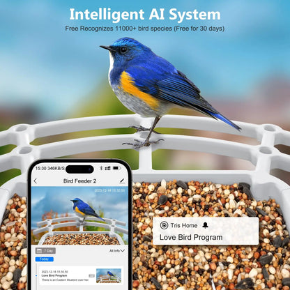 4G Smart Bird Feeder with 2.4K Camera Solar Powered