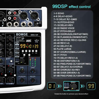 12 Channel Professional Audio Mixer with DSP and XLR