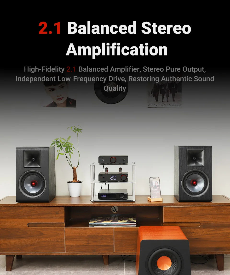 300W X2 HiFi Stereo Power Amplifier with XLR RCA