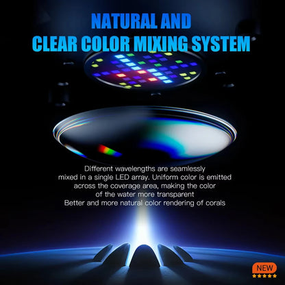 Saltwater Marine Full Spectrum LED Light L Bracket