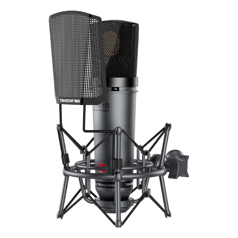 Professional Condenser XLR Microphone for Home Recording