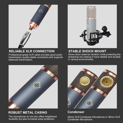 Large Diaphragm Condenser Microphone XLR Studio Recording