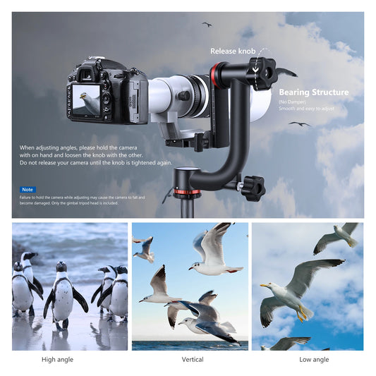Professional Gimbal Head for 360 Degree Panoramic Photography