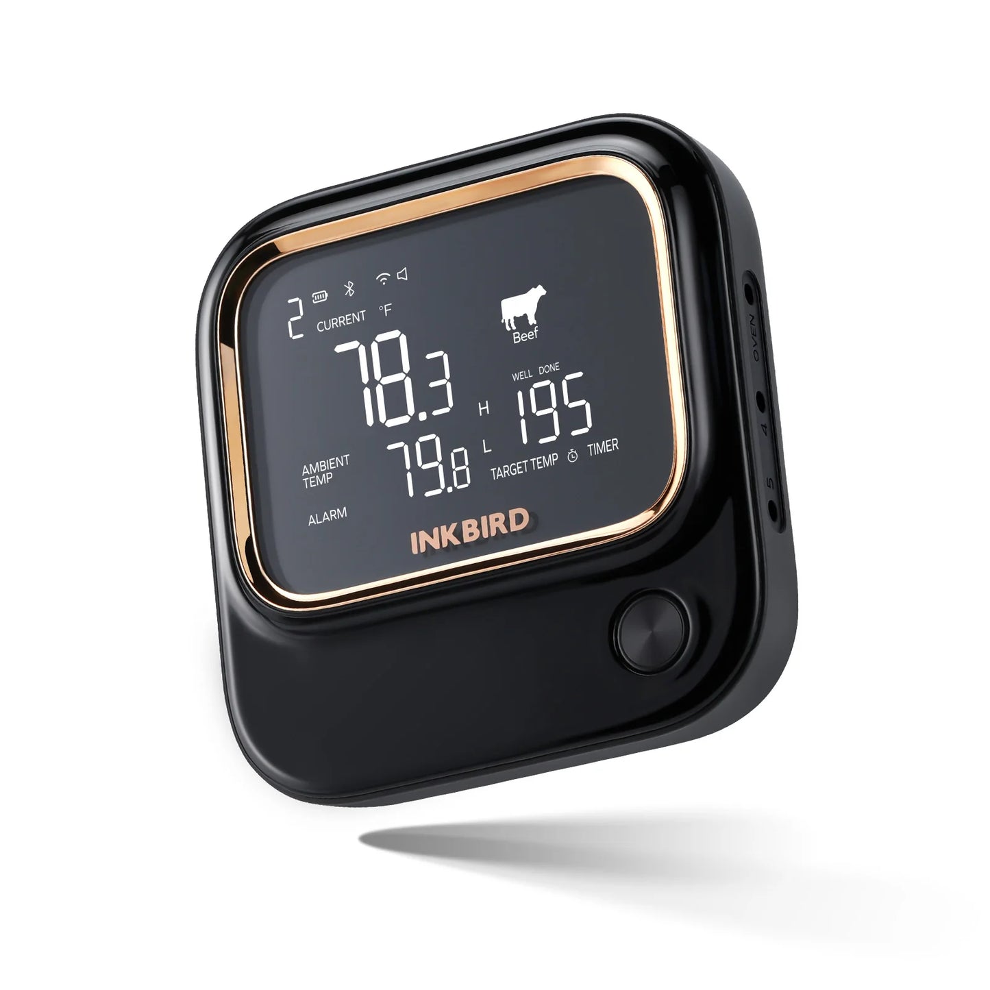 6 Probe BBQ Thermometer Bluetooth Wi-Fi App Control