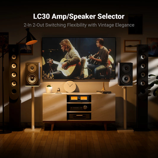 Dual Amplifier Speaker Switcher Box with Analog VU Meter