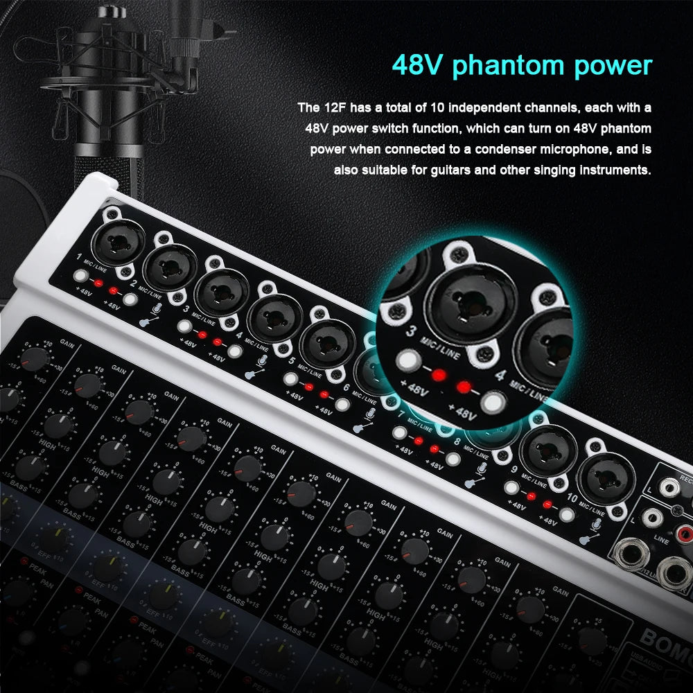 12 Channel Professional Audio Mixer with DSP and XLR