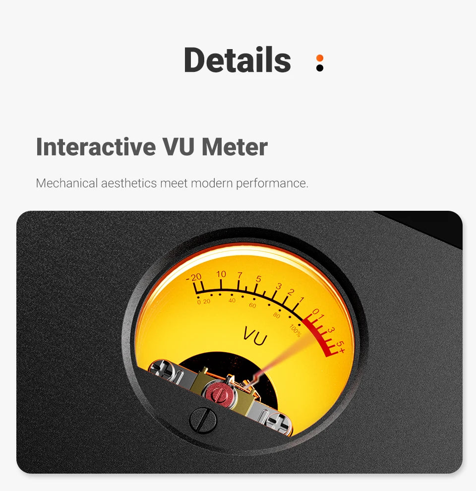300W Class D Mono Power Amplifier with XLR RCA Input