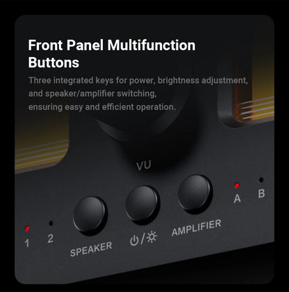 Dual Channel Amplifier Switch Box with VU Meter Display