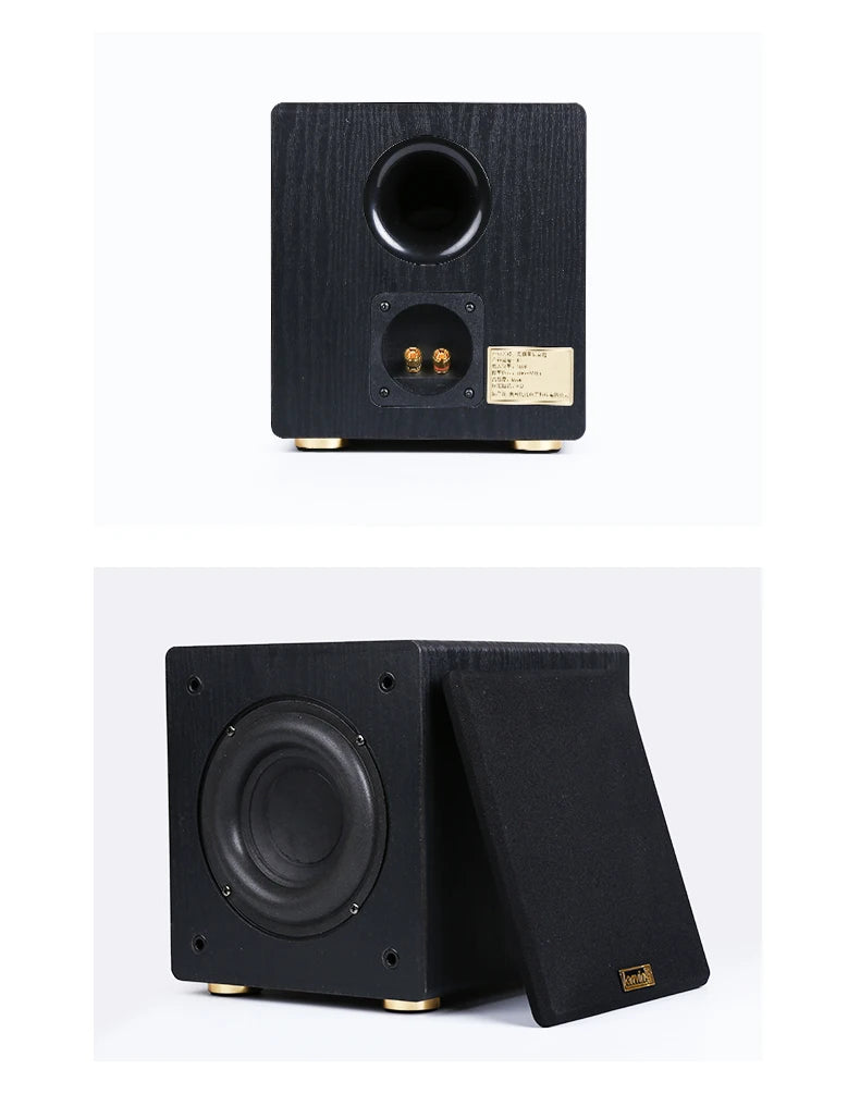 100W Home Theatre Passive Subwoofer Speaker
