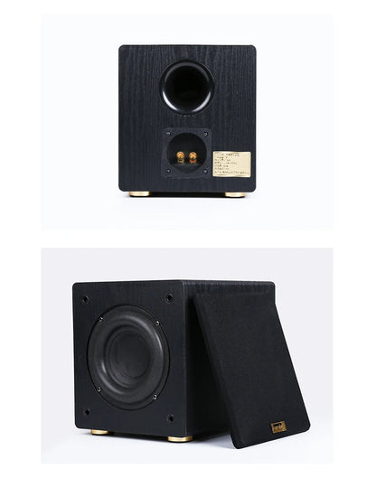 100W Home Theatre Passive Subwoofer Speaker