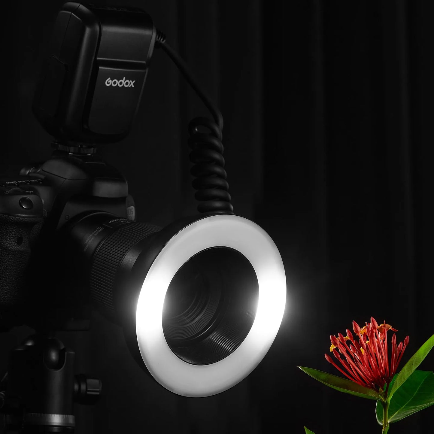 5000K Macro LED Ring Light for DSLR Cameras