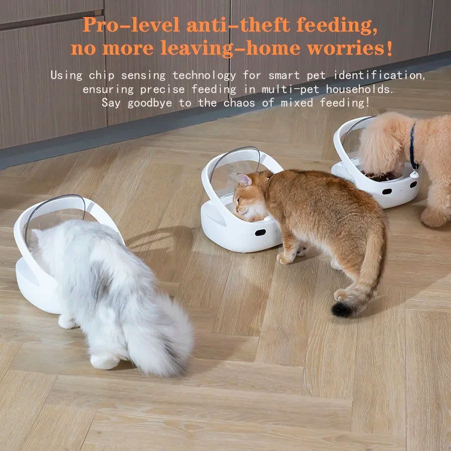Petoneer Smart Automatic Pet Feeder with App Control for Pets