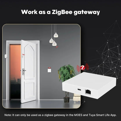 Smart Matter Thread Gateway Hub for Smart Home