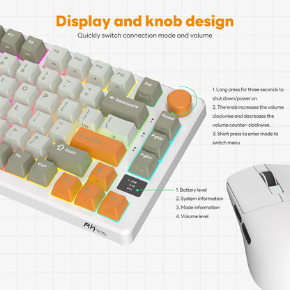 Wireless 75% RGB Mechanical Keyboard Fast Silver Switch