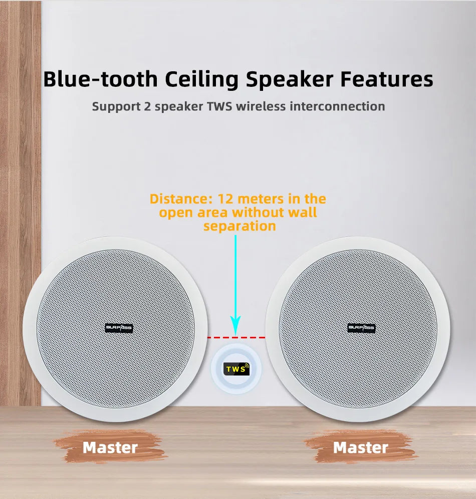 Wireless Ceiling Speaker Set with Amplifier and Passive Units