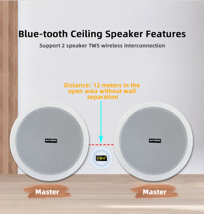 Wireless Ceiling Speaker Set with Amplifier and Passive Units