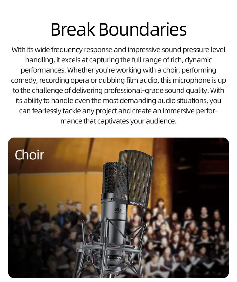 Professional Condenser XLR Microphone for Home Recording