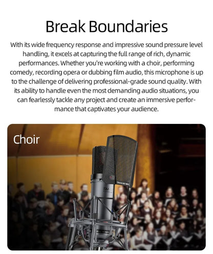 Professional Condenser XLR Microphone for Home Recording