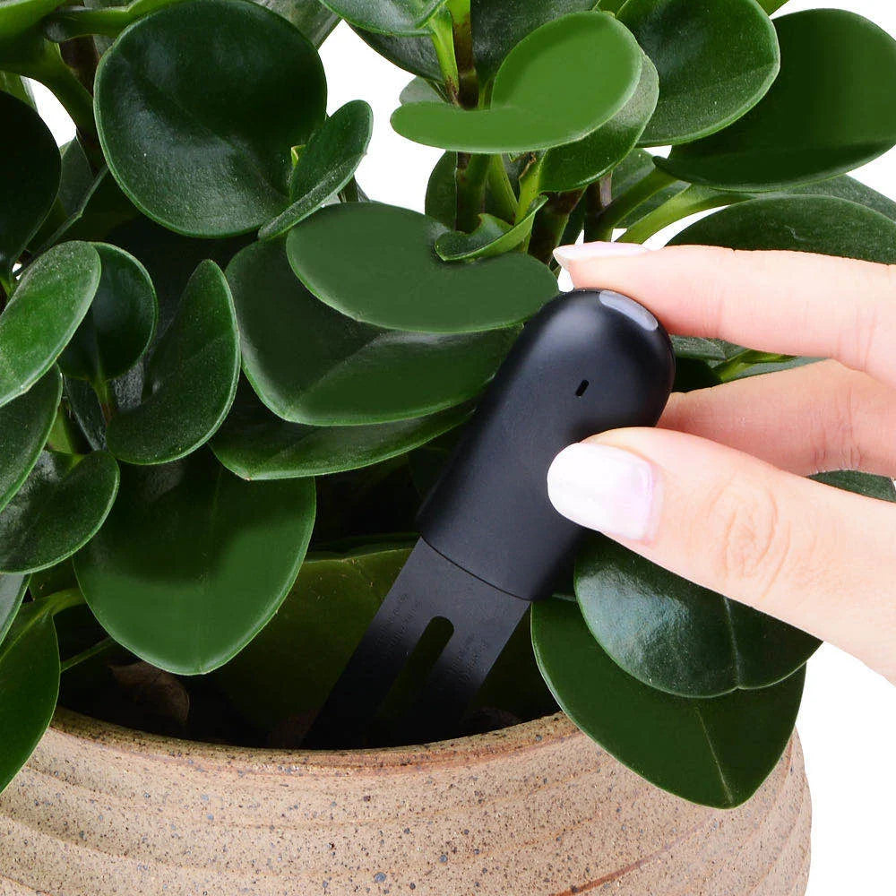 Smart Plant Soil Moisture Monitor 6 Pack