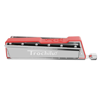 Professional 10-Hole Harmonica for Blues & Pop