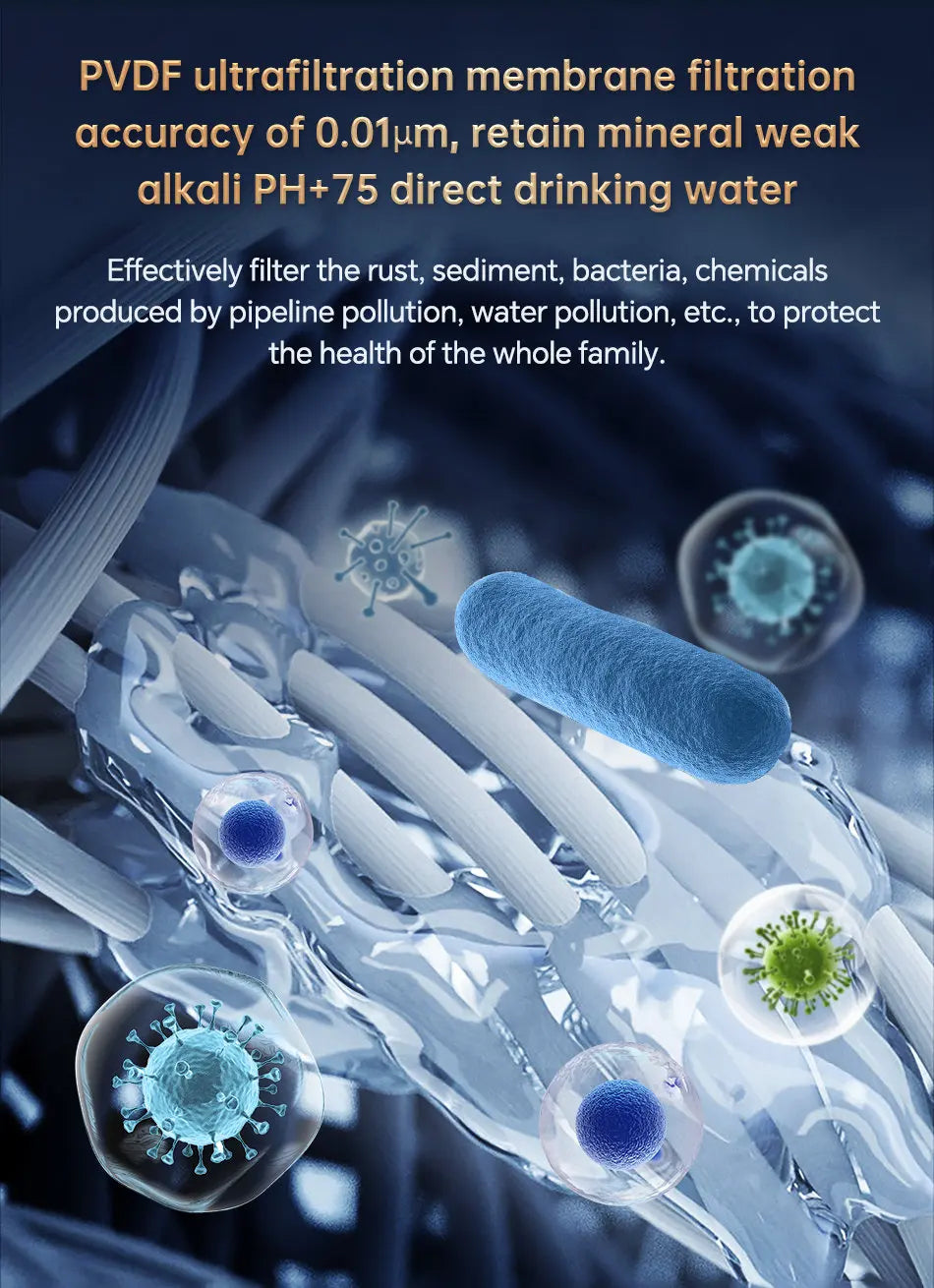 Heavy Duty 5000L Central Water Purifier with Ultrafiltration