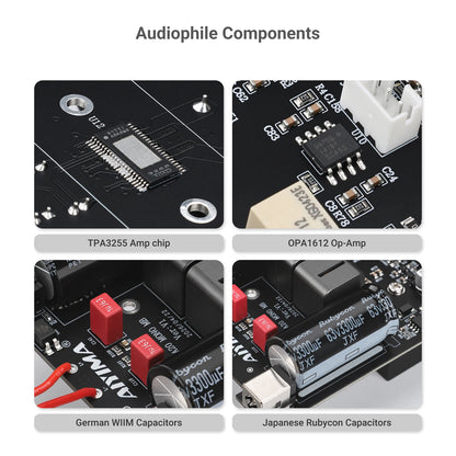 300W Class D Mono Power Amplifier with XLR RCA Input