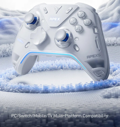 Wireless Gaming Gamepad with Dock for PC & Switch