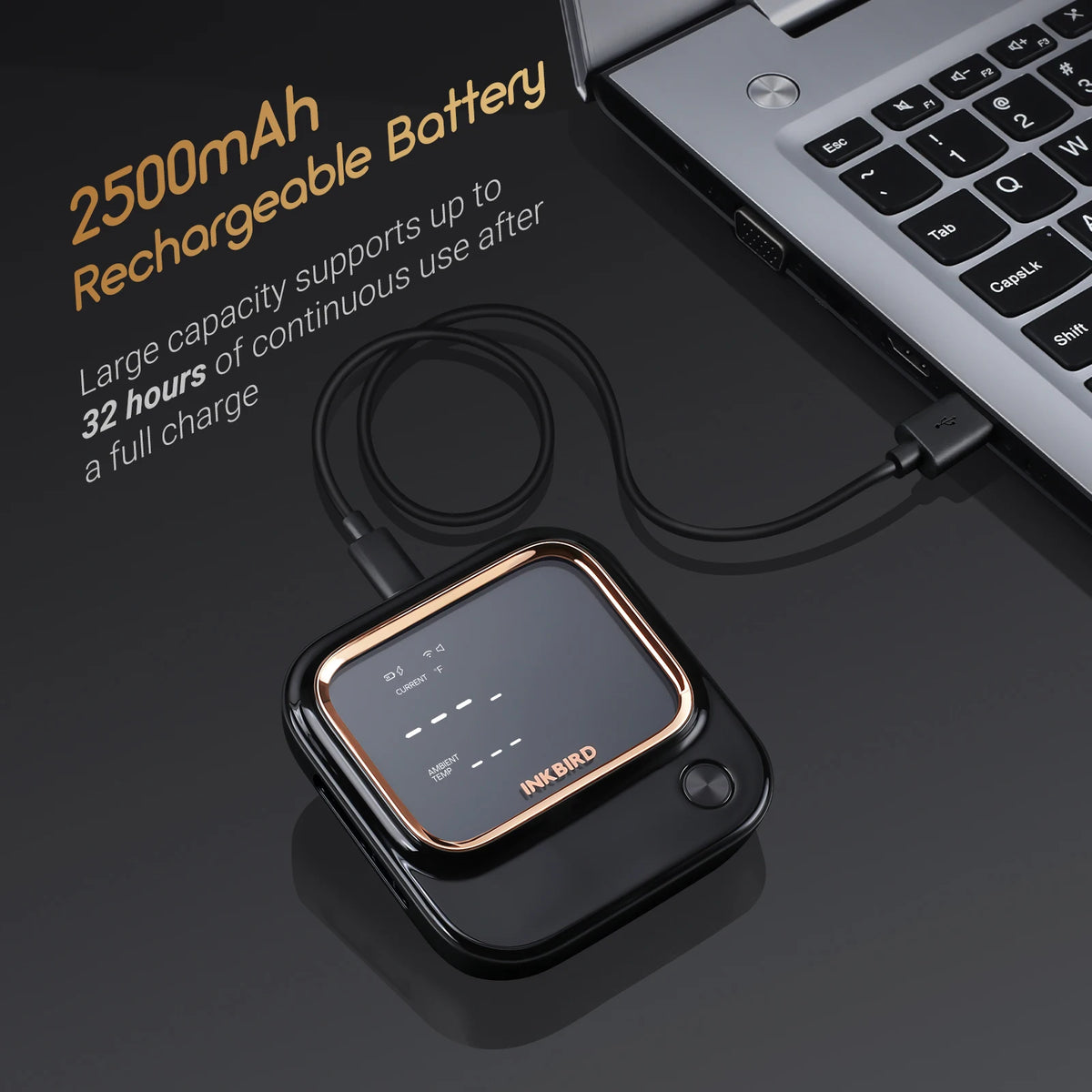 WiFi Bluetooth BBQ Thermometer 4 Probes with App