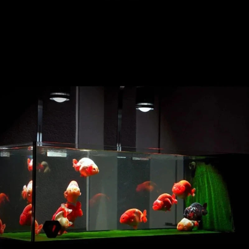100W Freshwater Aquarium LED Downlight for Planted Tanks