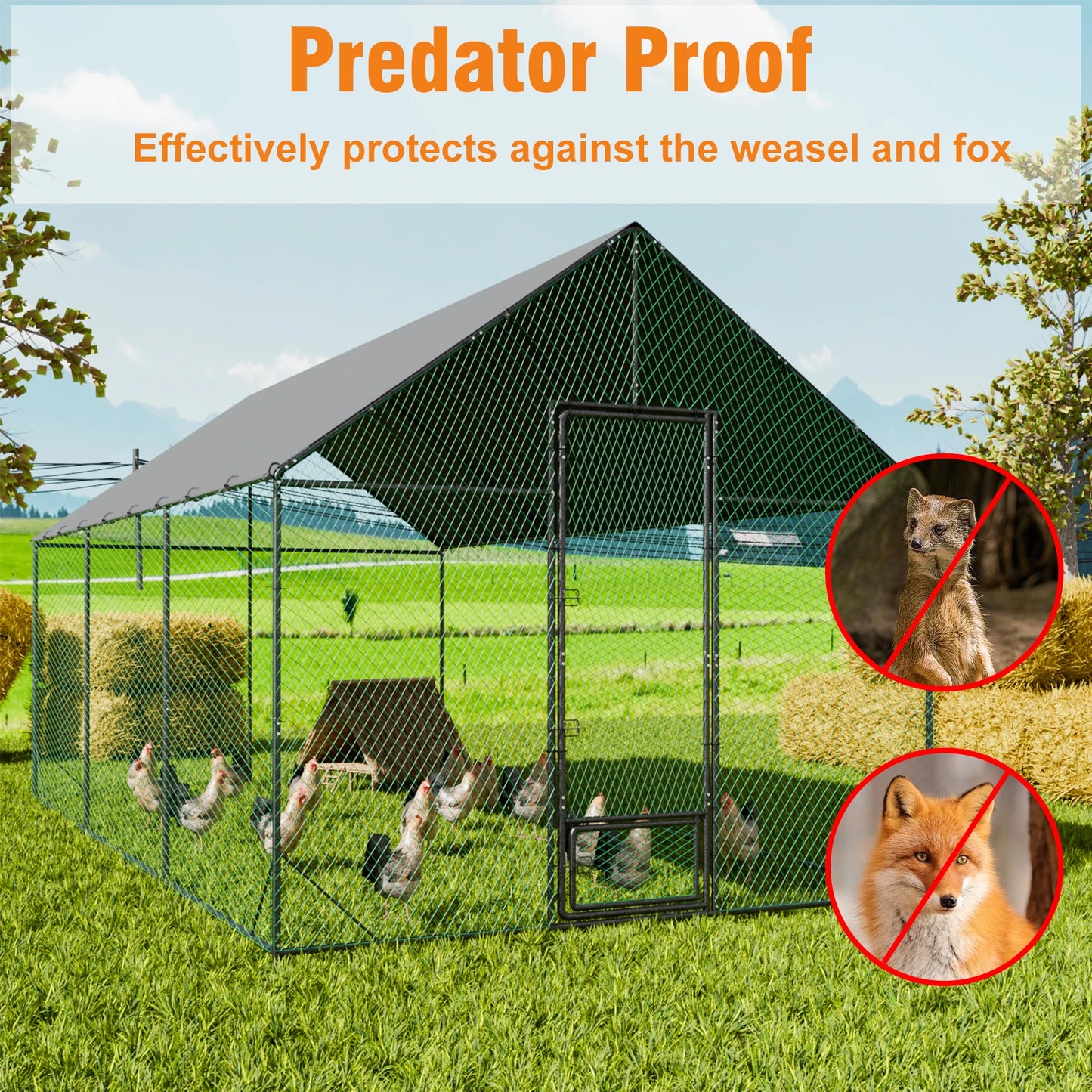 Large Outdoor Walk-In Chicken Coop with Roof Cover