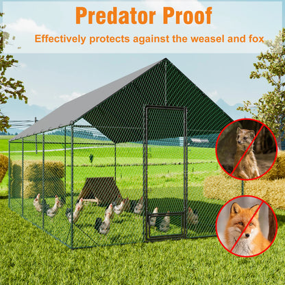 Large Outdoor Walk-In Chicken Coop with Roof Cover