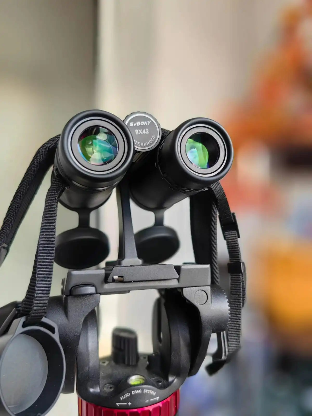 Compact 8x42 Binoculars with BAK4 Prism for Clear Bright Viewing