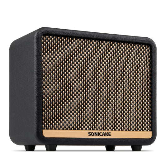 Portable Guitar Practice Amp 10W with 100 Presets