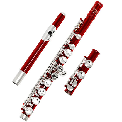 Professional Concert Flute with Gloves and Cloth