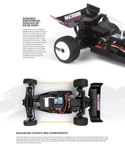 1/24 2WD RC Off-Road Buggy RTR Model Car